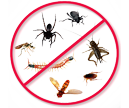 residential pest control service, centipede virginia bed bugs, insects, spider problems, home pest control, virginia, arlington, alexandria, springfield, pest removal, woodbridge, manassas, centerville,