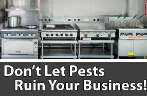 commercialpest control services for your restaurant and resl estate property in Northern Virginia, Alexandria, Arlington, termite control and cockroach and rodent problem solutions.